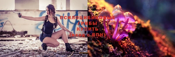 PSILOCYBIN Алзамай