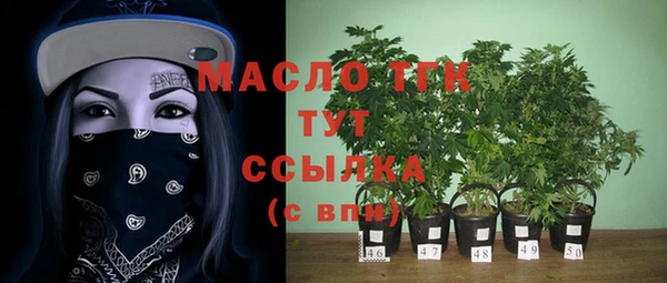 PSILOCYBIN Алзамай