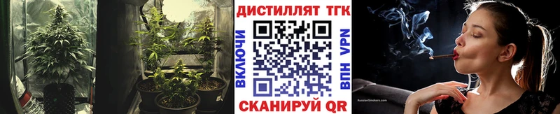 Дистиллят ТГК THC oil  где можно купить   Карабулак 