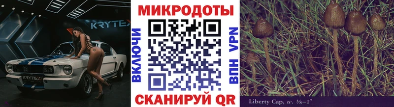 гидра ссылки  Карабулак  Псилоцибиновые грибы мухоморы 