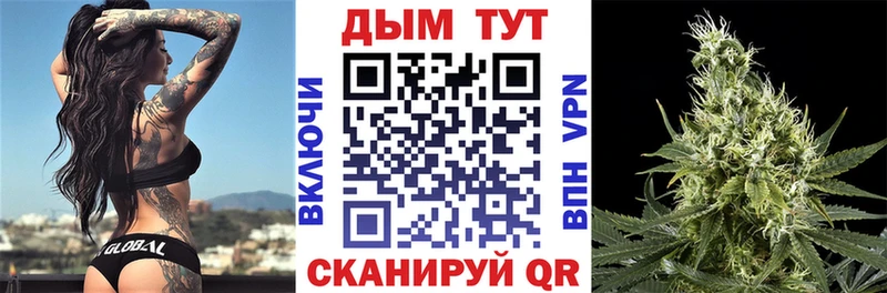 Бошки Шишки планчик  это телеграм  Карабулак 